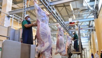 qurban-bayrami-gunlerinde-heyvanlarin-satisi-ve-kesimi-xidmetleri-gosterilecek-unvanlar